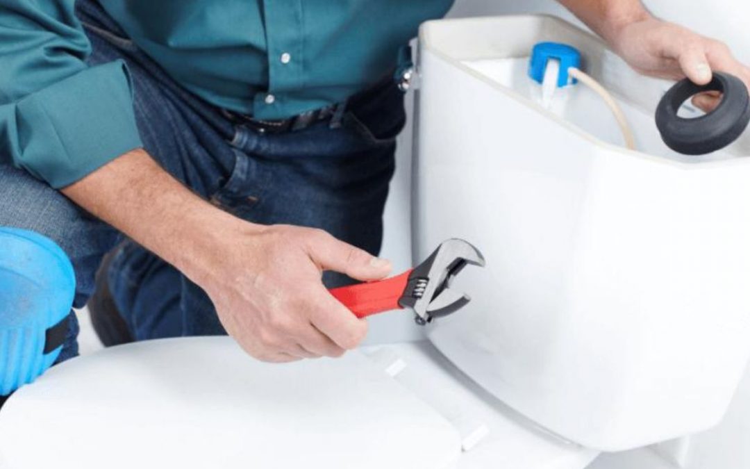 How to Fix Toilet Flush in Ten Easy Steps